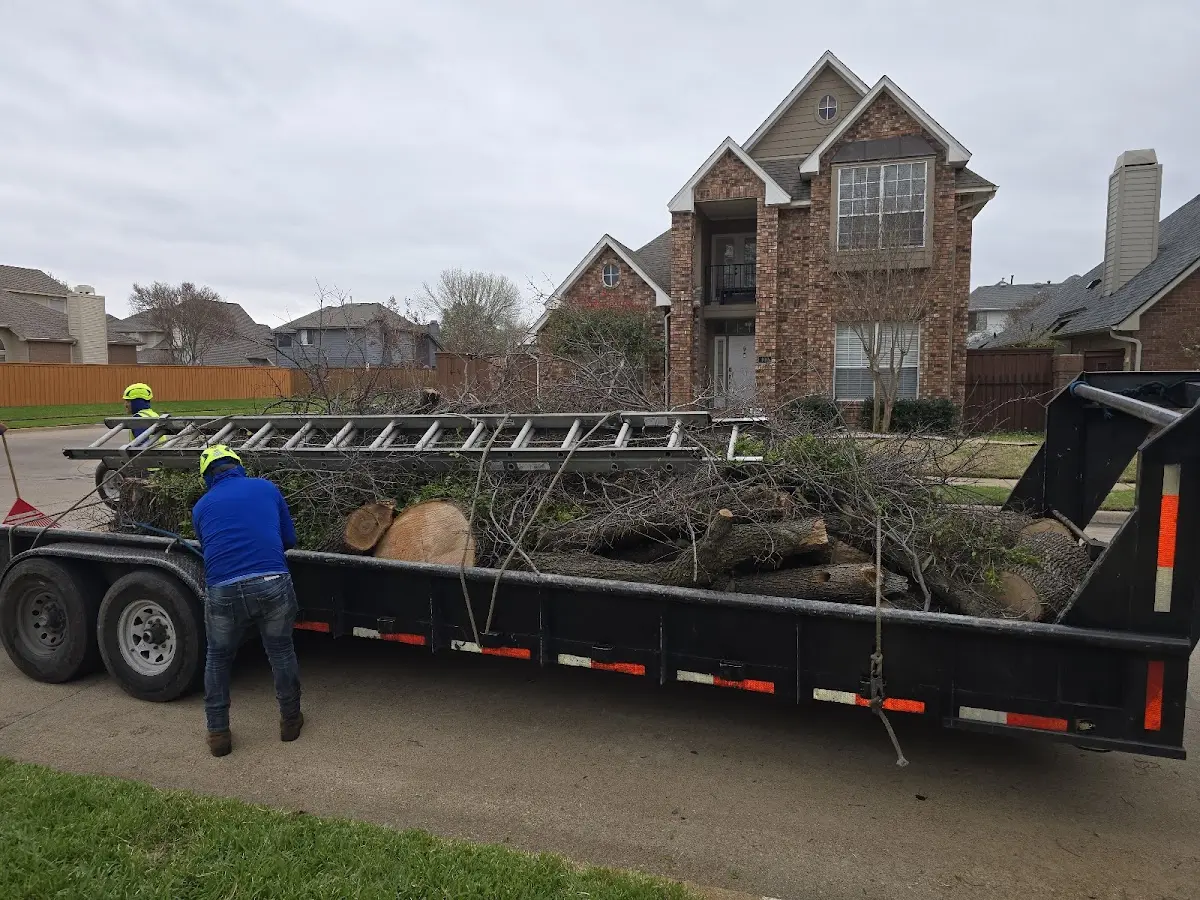 Expert Tree Fertilization with proper safety equipment in Braddock